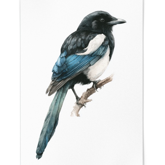Watercolor Magpie Bird Wall Art Print, Unframed - Elegant Nature-Inspired Decor - Picture 2 of 6